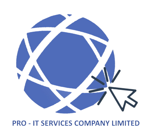 Pro IT Services Limited