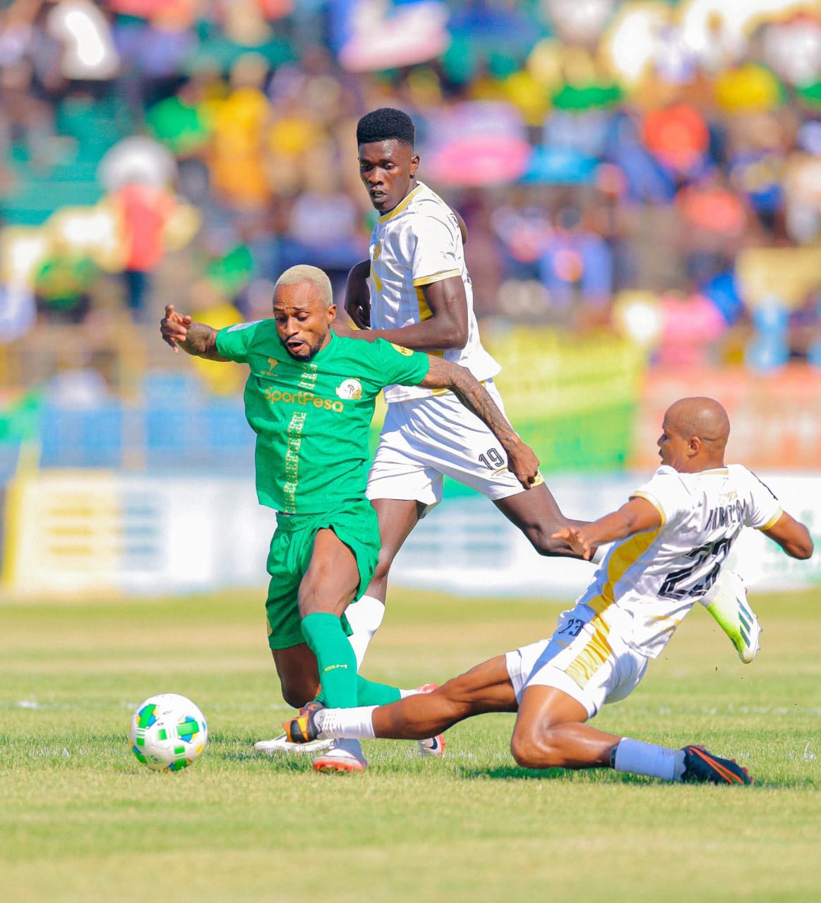 Yanga now have only one task left: to protect their two-point lead in the Premier League.