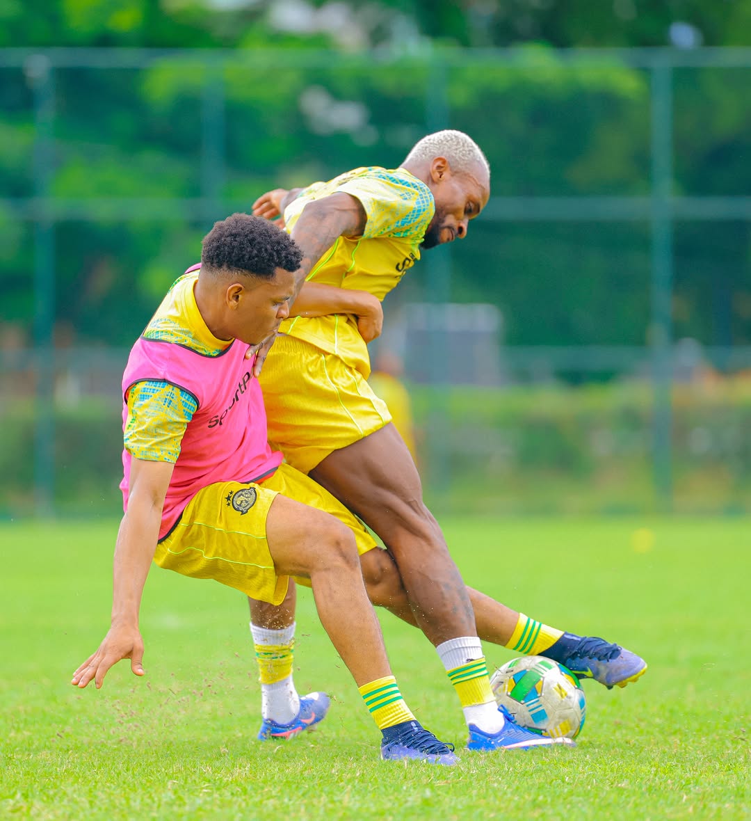 Yanga SC Boosted as Pacome Zouzoua and Zimbwe Jr Return to Training